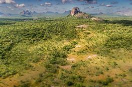 WCS Joins Mozambican President Filipe Nyusi to Advance Conservation Efforts